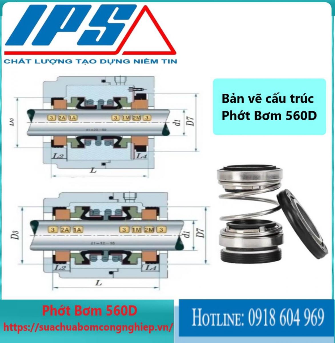 Phớt Bơm 560D-13 (2)(1)